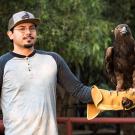 Volunteer with Sullivan the golden eagle on glove